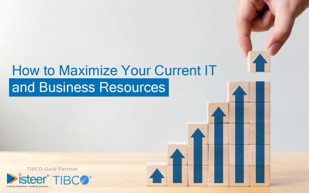 How to Maximize Your Current IT and Business Resources